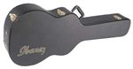 Ibanez AM100C Electric Guitar Case for AM73 & AM73T Series Body View